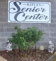 Ripley Senior News