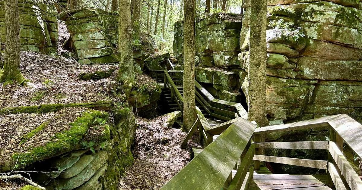 Photo: wvnews.com Beartown State Park