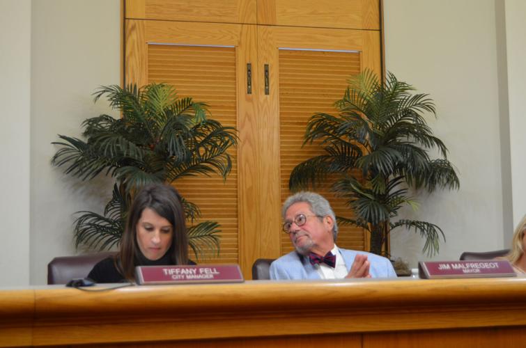 Clarksburg, W.Va., City Council approves 350,000 in funding for