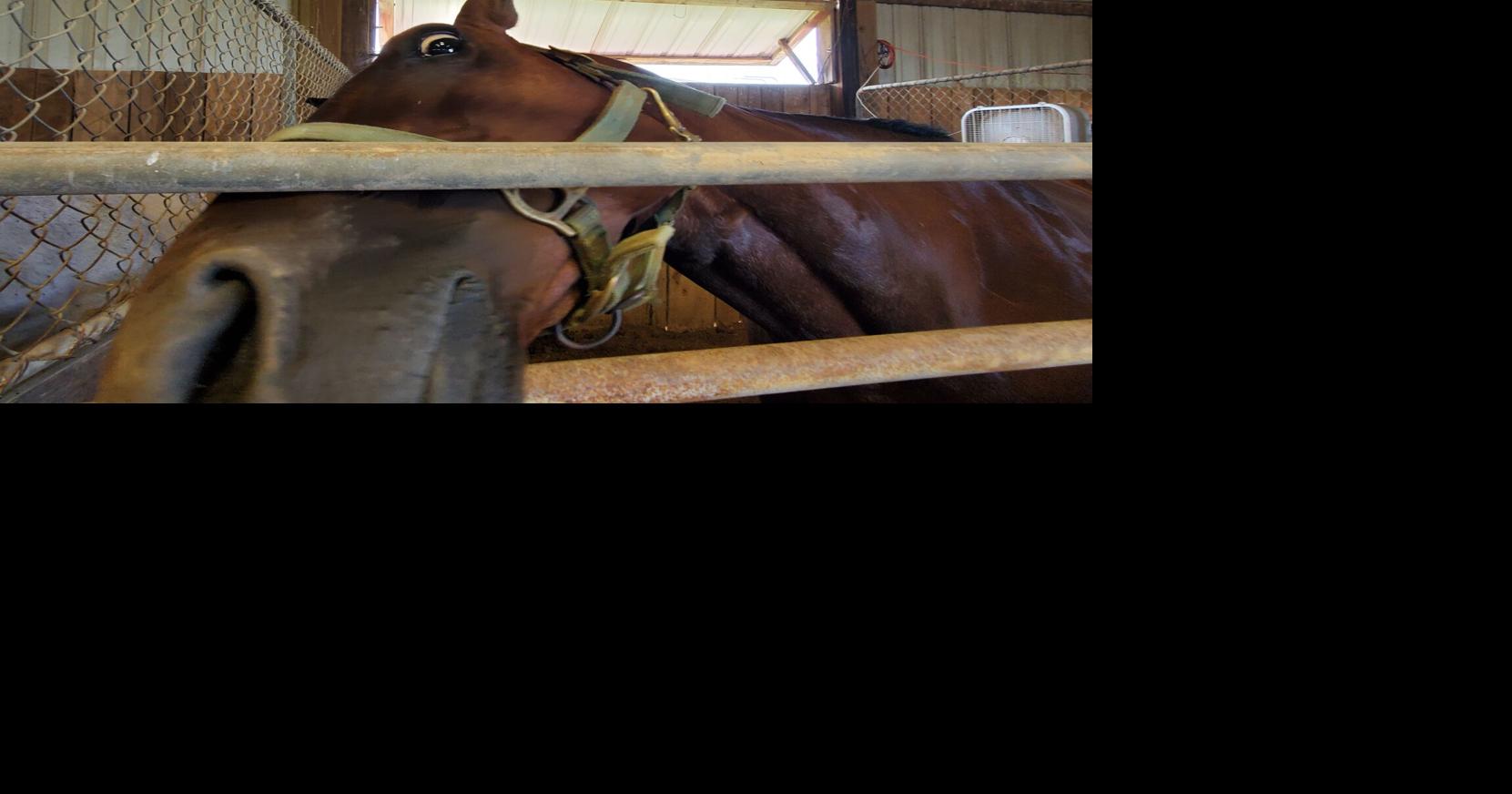 Brewing Locally Image