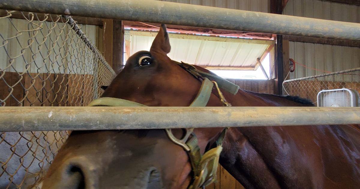 Brewing Locally Image