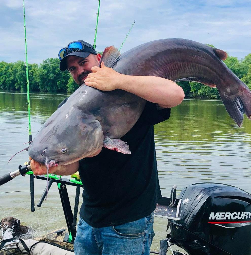 Ohio man sets new West Virginia record for blue catfish caught in