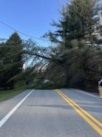 High winds cause outages, travel concerns throughout North Central West Virginia
