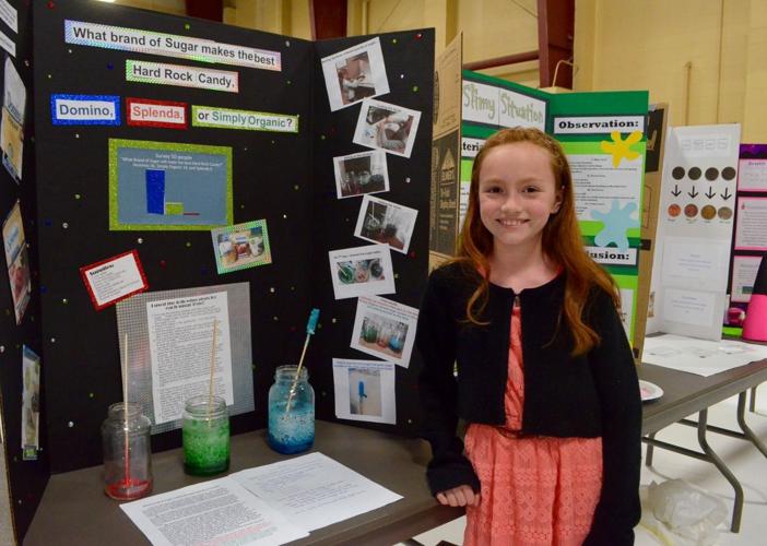 County Science Fair teaches students research, academic ...