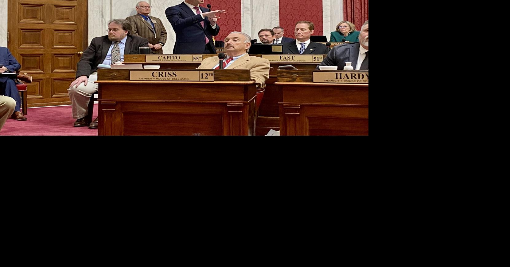 West Virginia House passes ban on gender-affirming care | WV News ...
