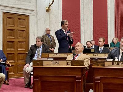 West Virginia House passes ban on gender-affirming care | WV News ...