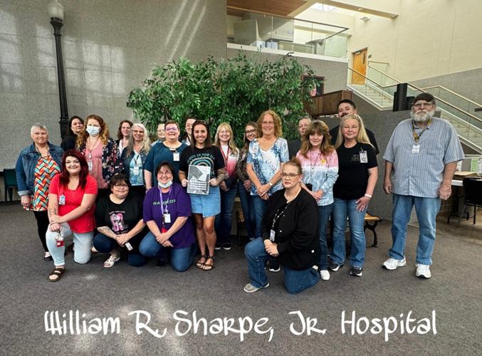 Lewis County offices join Denim Day to raise awareness for sexual