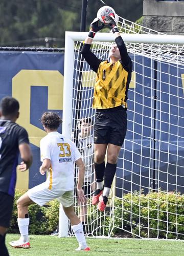 Lees Clean Sheet Earns Wvu Honors Varsity Sports Update West Virginia University Sports 