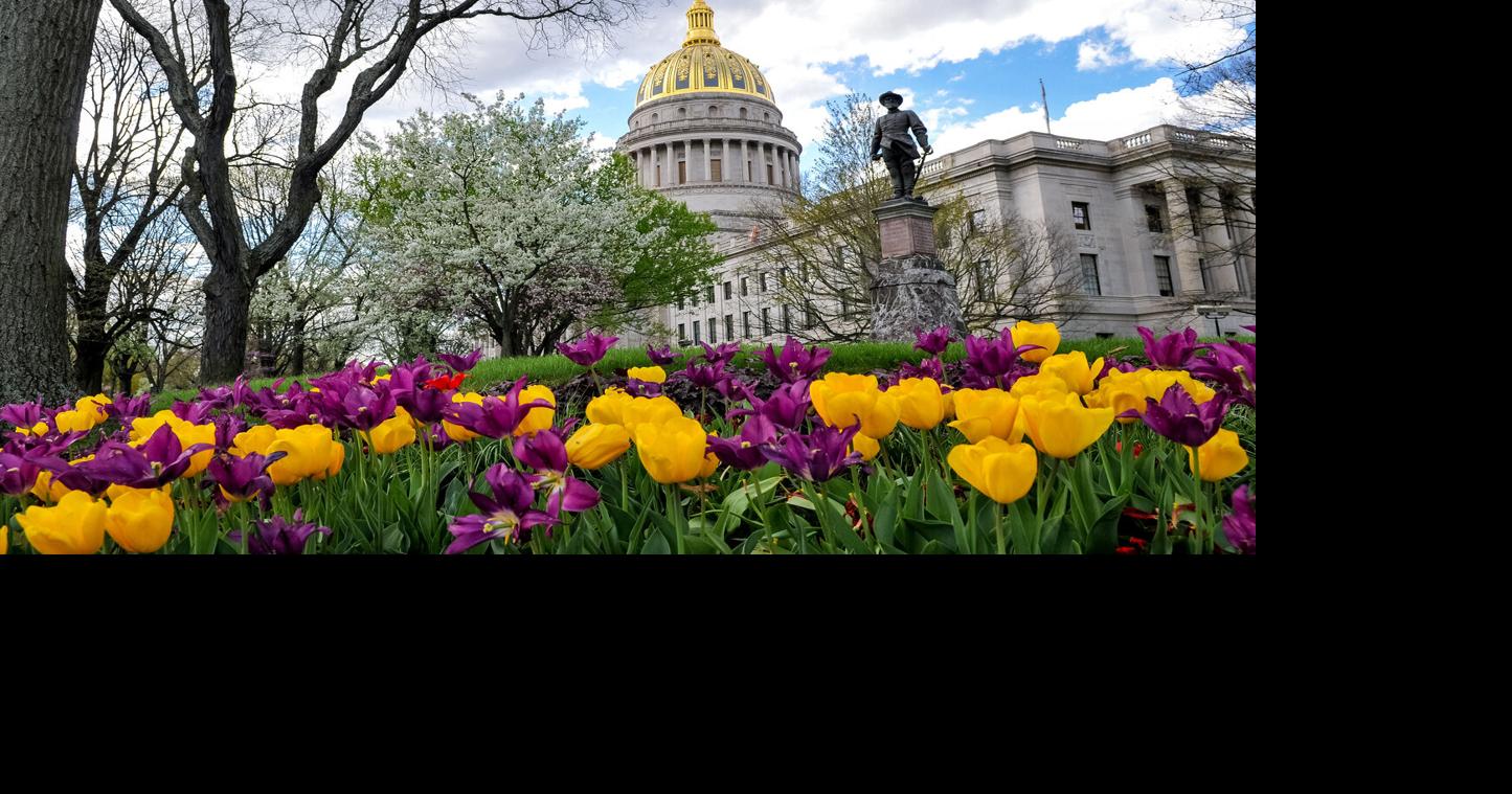 Voters asked to decide amendment on West Virginia’s machinery, equipment and inventory tax