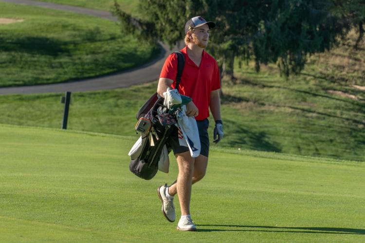 Jack Michael leads Cabell Midland to AAA golf titles; Lewis County's