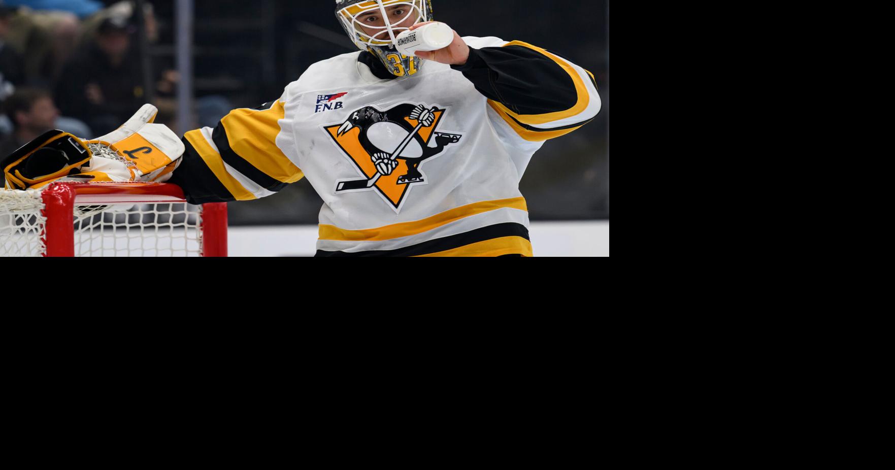 Penguins Mammoth Hockey | Pro Sports | wvnews.com