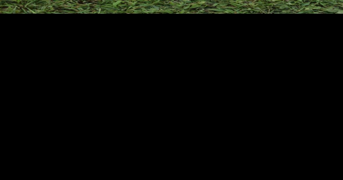 39th Labor Day Fireman’s Festival held in Jane Lew Weston News