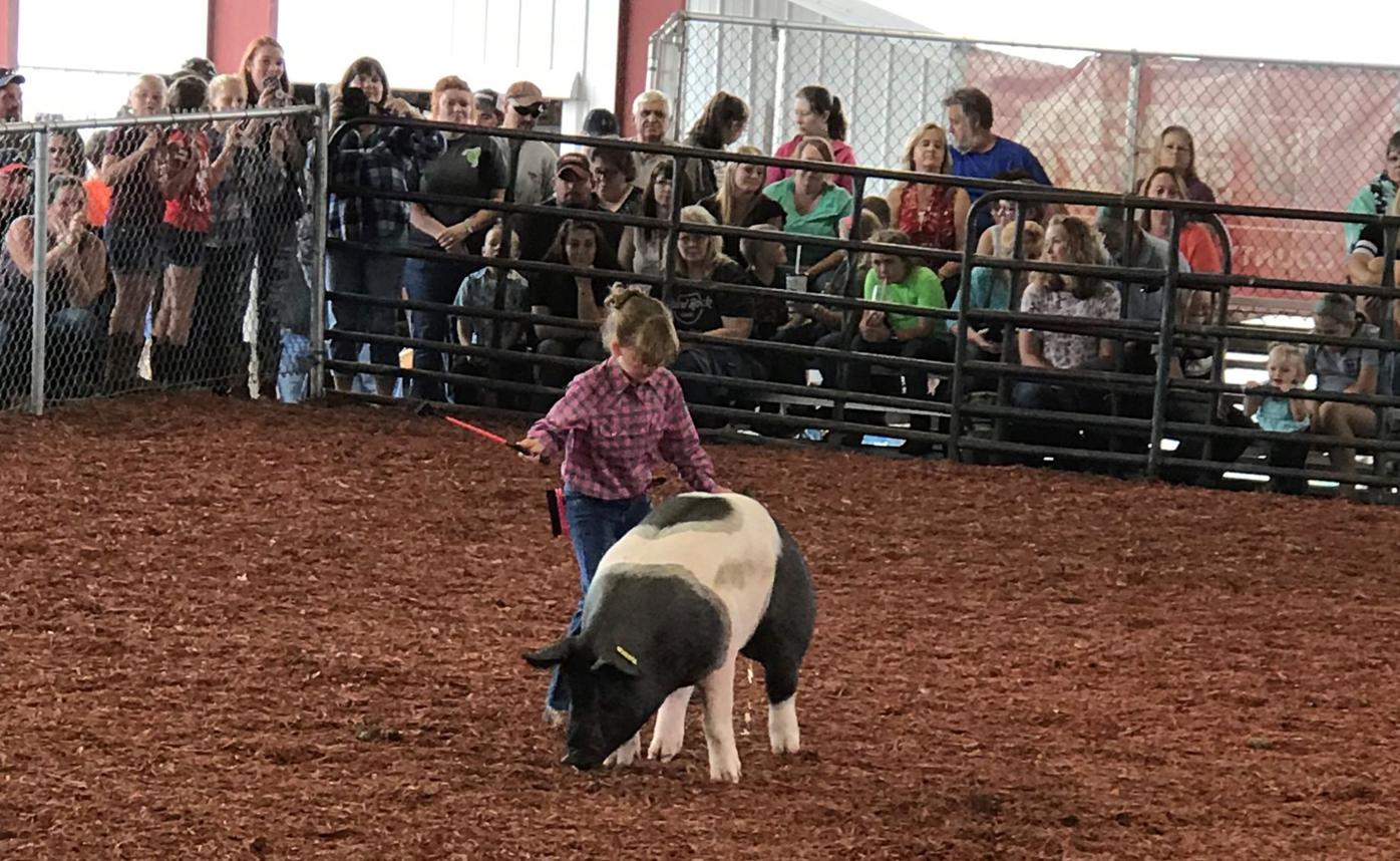 Garrett County State Fair 2022
