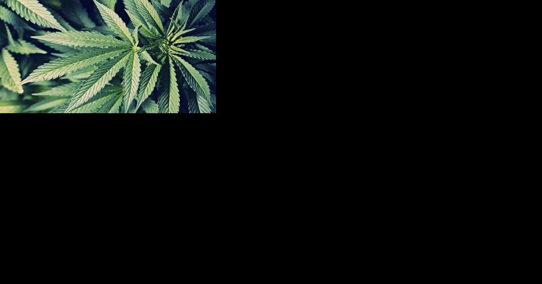 House Bill 4873 Proposed to Legalize Recreational Marijuana Use in West Virginia, Includes Taxation Plans for Revenue Distribution - Vimarsana News