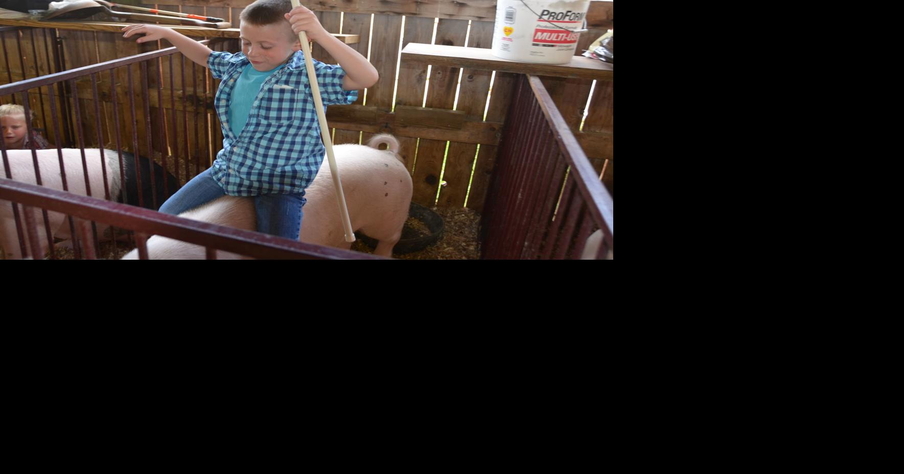 Barbour County Fair Schedule