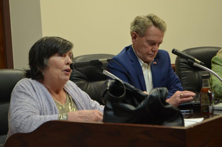 Fairmont, WV, City Council holds work session to discuss new city logo