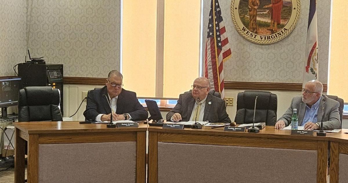 Buckhannon City Council receives update regarding the Gold Star Mothers ...