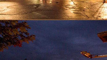 2022 Elkins Wv Christmas Parade Mountain State Forest Festival, In Elkins (West Virginia) Cancelled For  Second Consecutive Year | Wv News | Wvnews.com