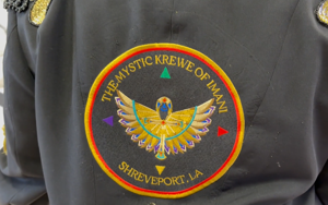 The Mystic Krewe of Imani hosts resource fair