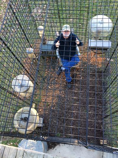 Bird Cage Feeding Station Foils Antics Of Deer Raccoons