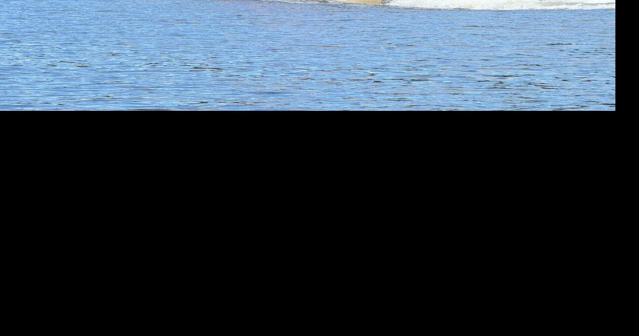 pontoon | | wvnews.com
