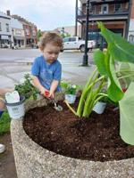 Volunteers set beauty in motion with Gallipolis in Bloom planting day