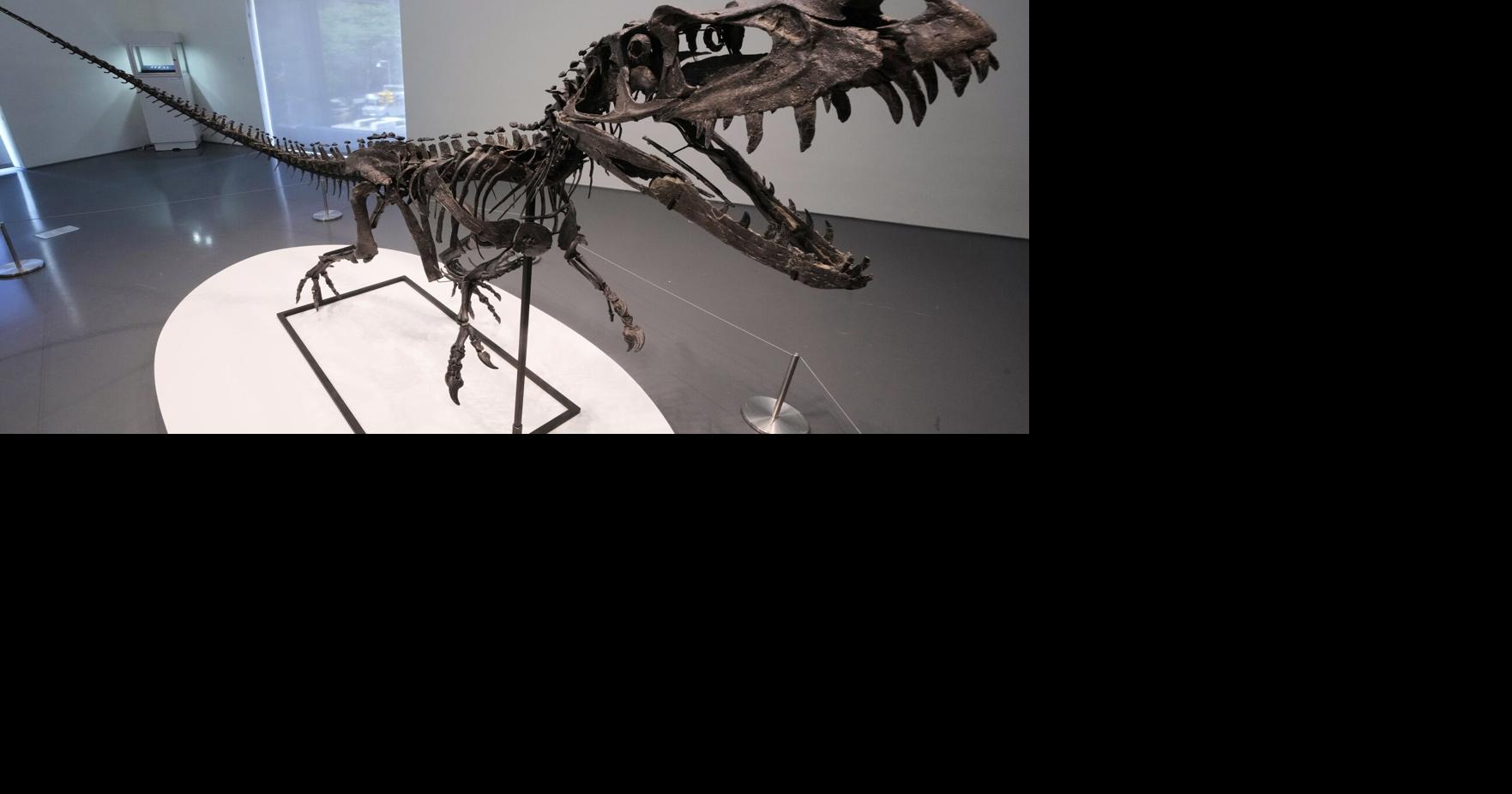 Ceratosaurus Skeleton at Sotheby's