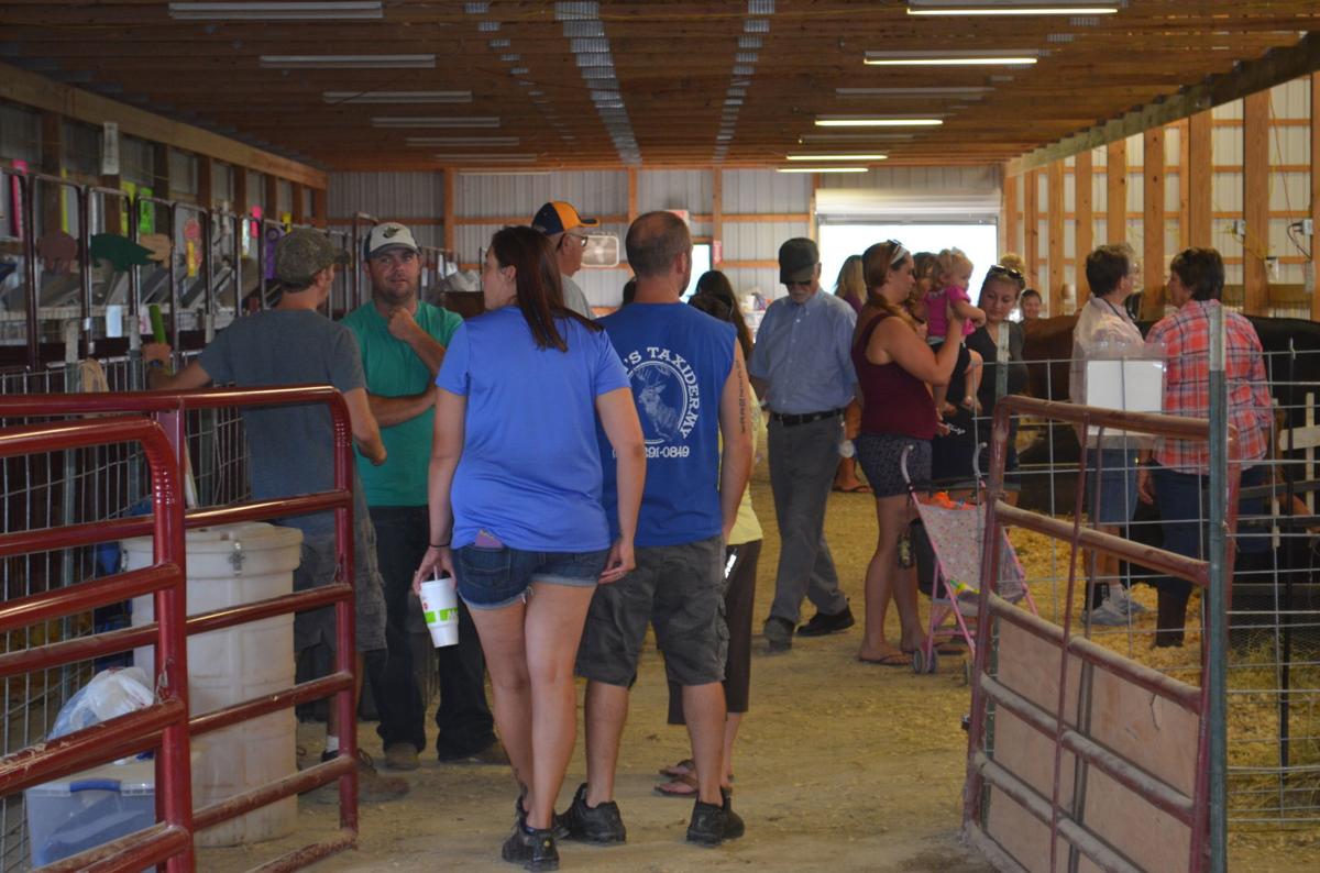 Grafton, WV's, Taylor County Fair offers affordable, fun experience for