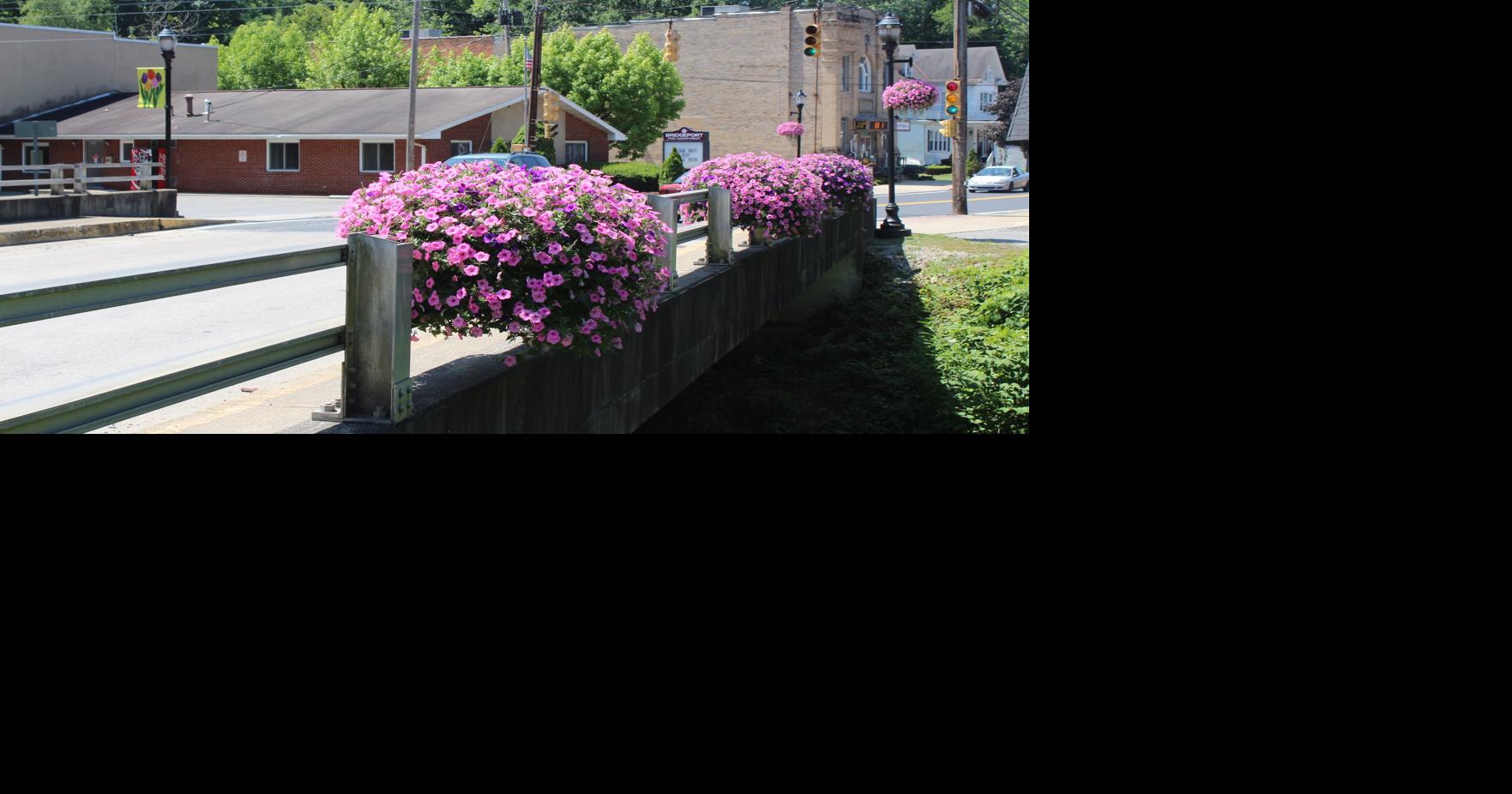Bridgeport expands effort to beautify downtown with colorful flowers