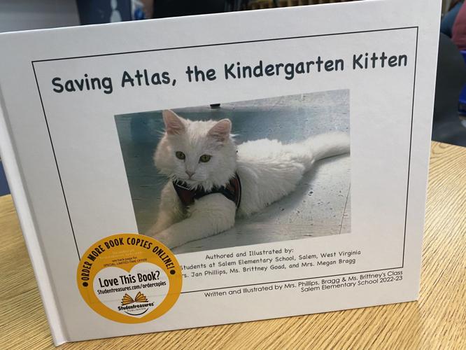 Saving Atlas, the Kindergarten Kitten