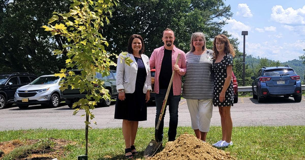 Memory of local man carries on with tree rededication at Grafton City