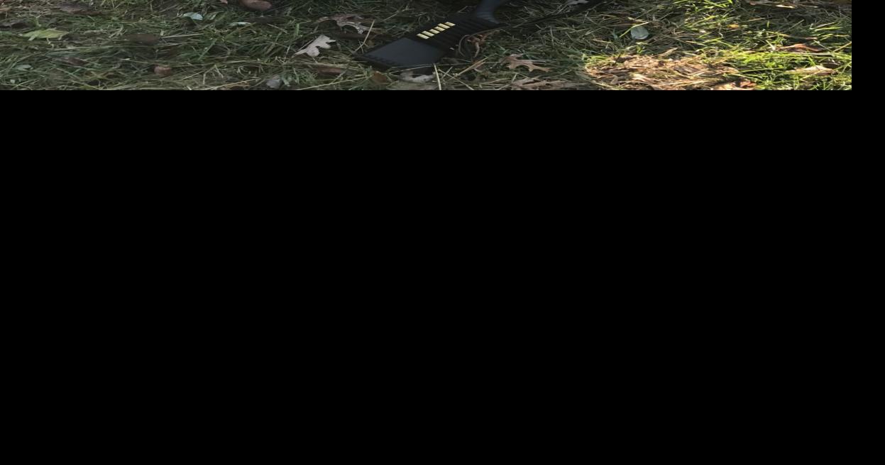 Official more than 250,000 expected to participate in WV buck firearms