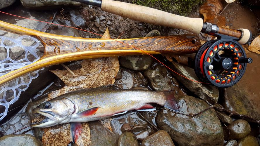 ackwater streams offer North Carolina fishermen unique opportunities for trout  fishing