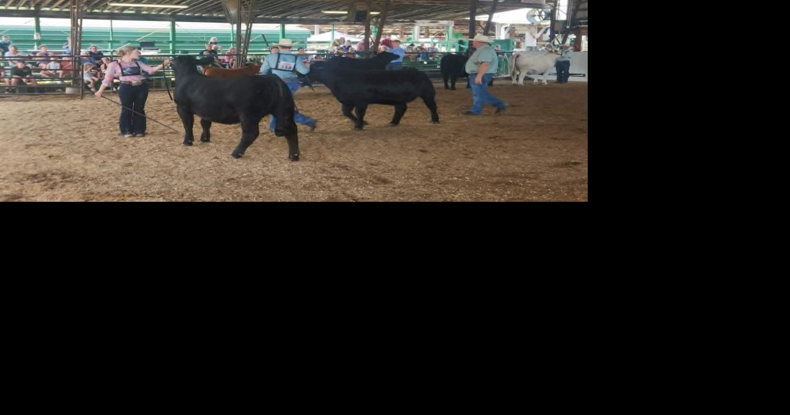 Gallia County Junior Fair celebrates 77 years with livestock shows, concerts and competitions