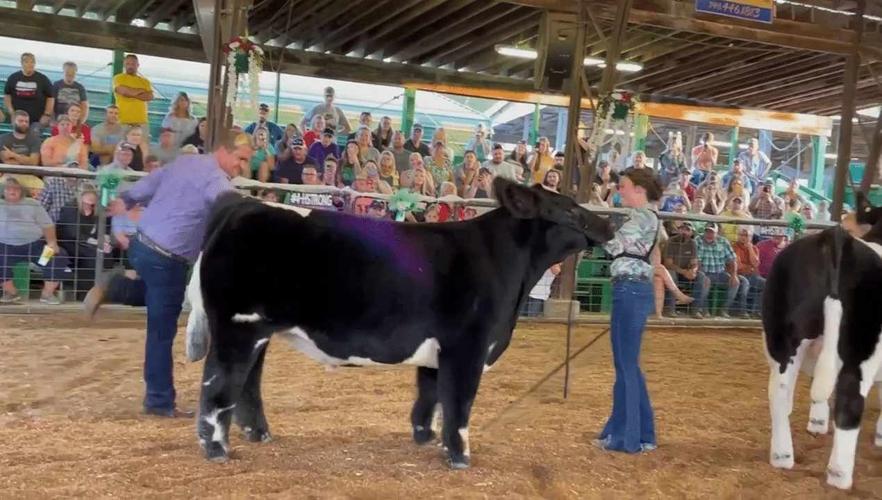 Gallia County Junior Fair schedule of events Gallipolis News