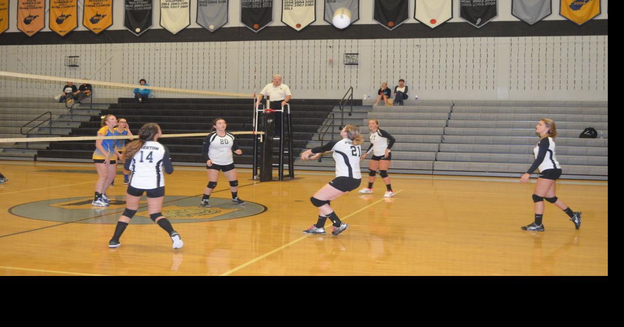 Volleyball team several returners showing