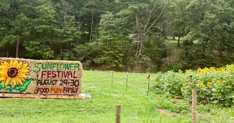 Sunflower Festival on tap for this weekend