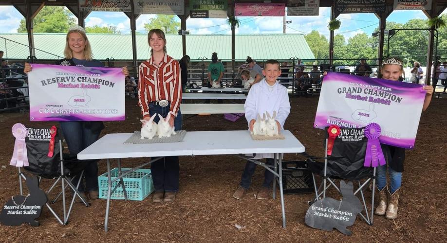 Meigs County Fair Livestock Gallipolis, Pomeroy, Point Pleasant and Mason News
