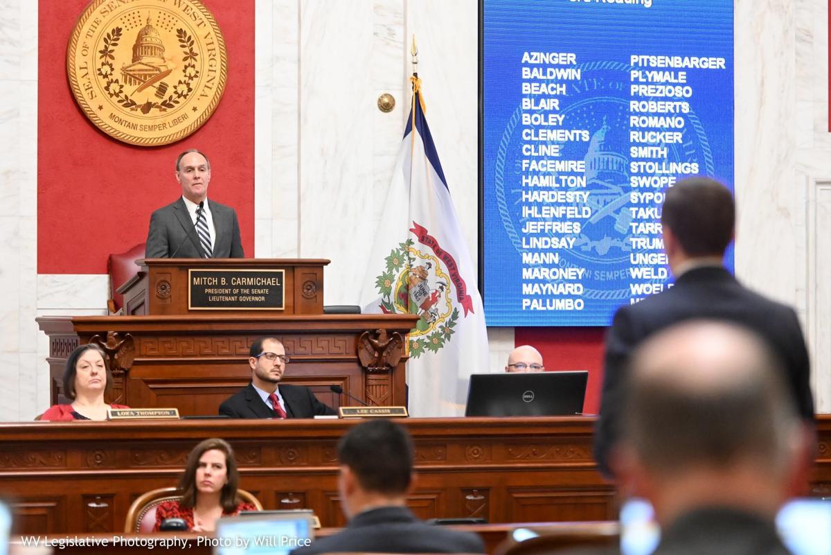 Wv Senate Narrowly Passes Intermediate Court Bill Wv News