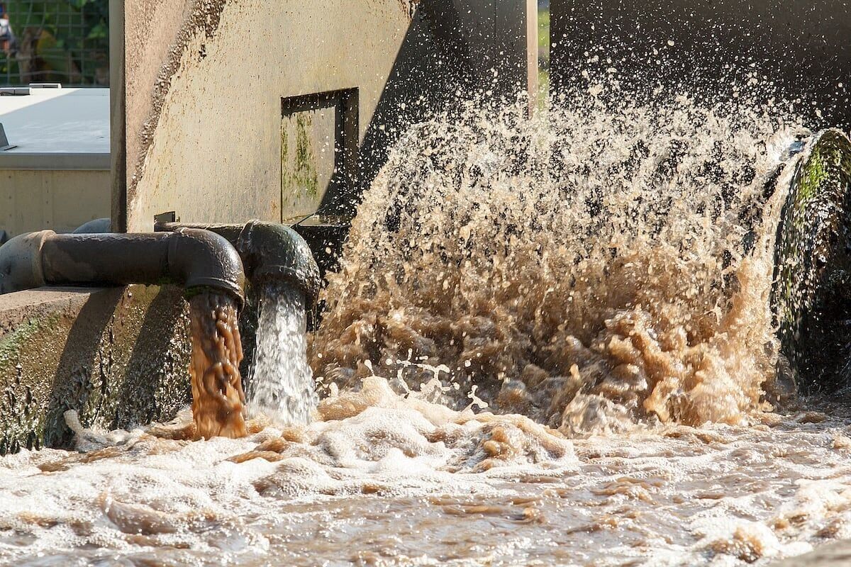 Las aguas residuales pueden predecir con precisión los aumentos repentinos de COVID-19 – WV News