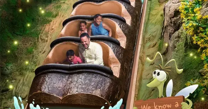 Boy gets out of water slide ride at Disneyland, plunges 50 feet down chute
