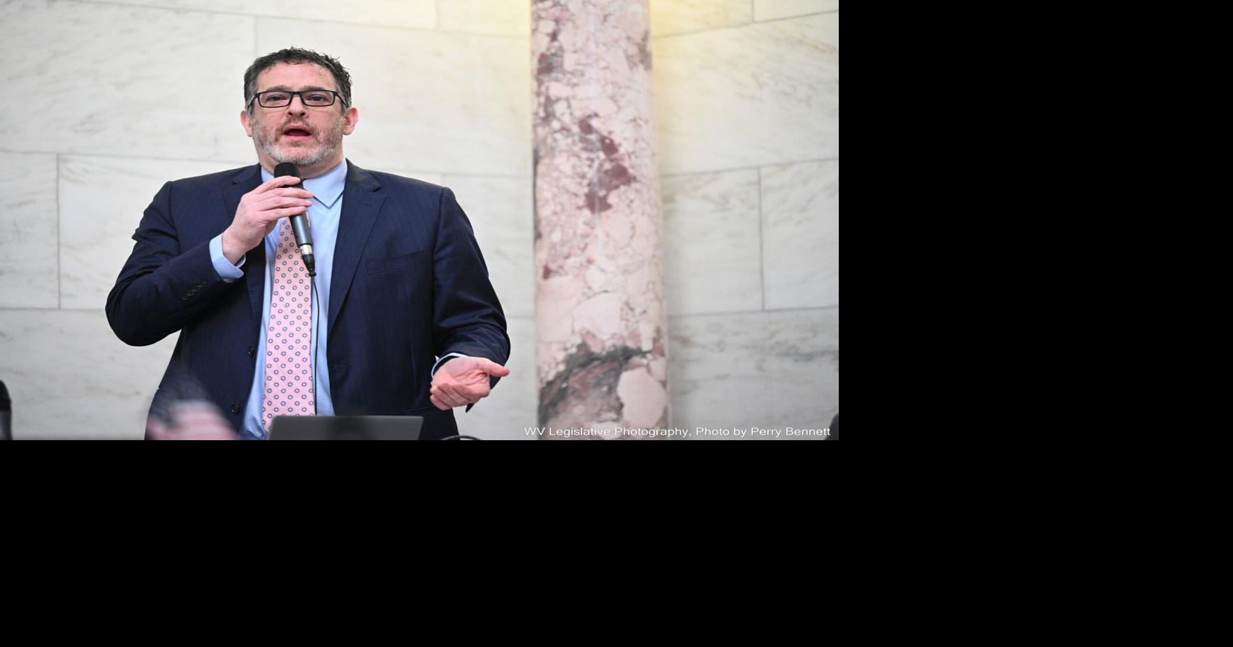West Virginia Democratic Party Chair explains political campaign ...