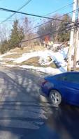Chestnut Hills House Explosion