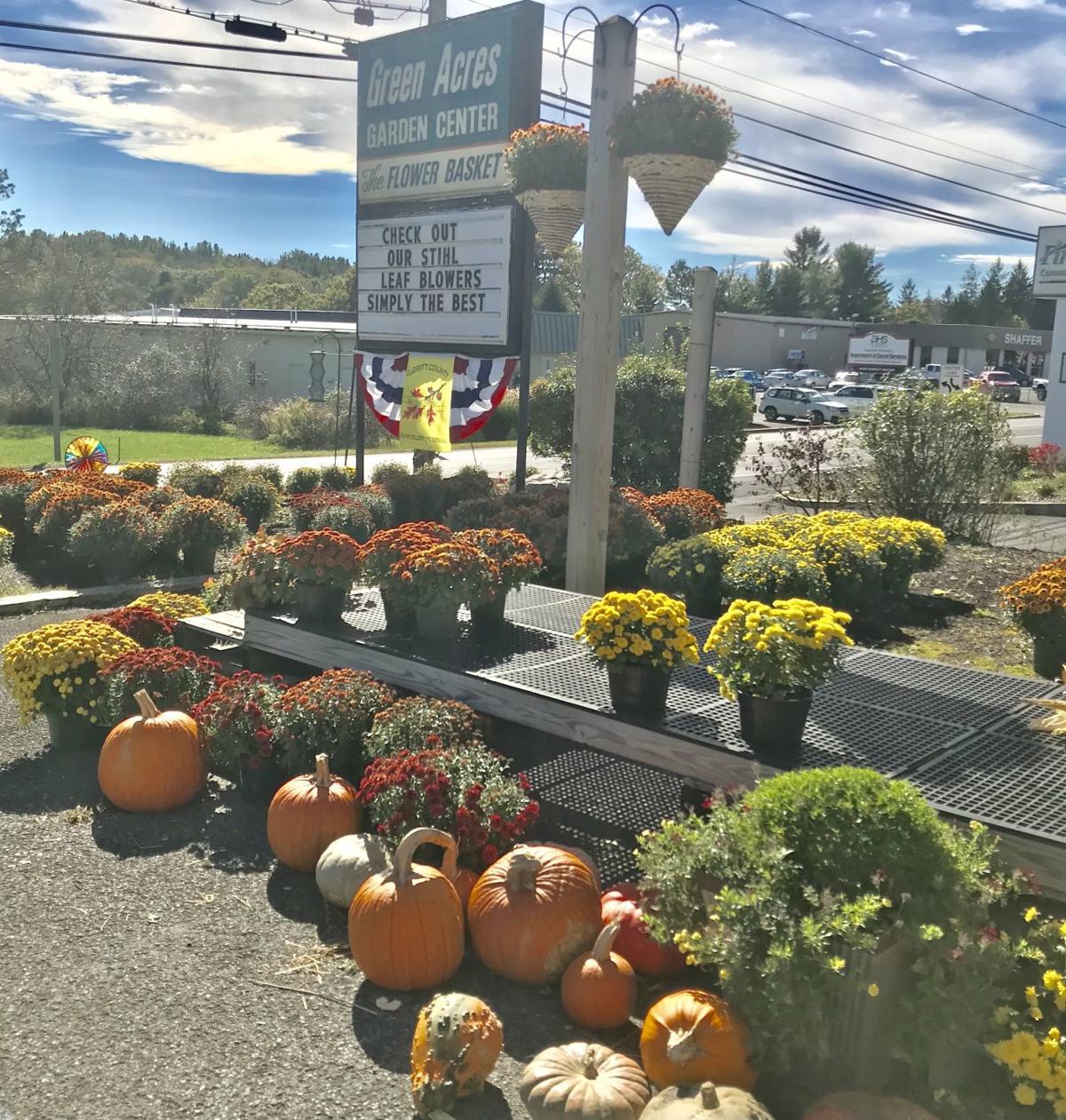 Green Acres Garden Center & Flower Basket marks 35 years in business News