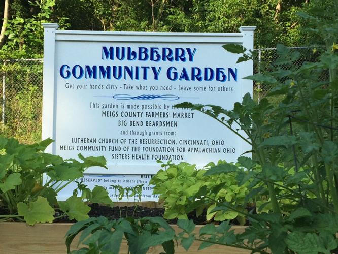 Mulberry Community Garden helps bring fresh food to Meigs residents