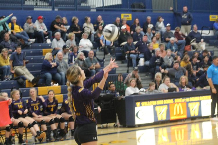 Southern's volleyball season comes to and end in 31 playoff loss to