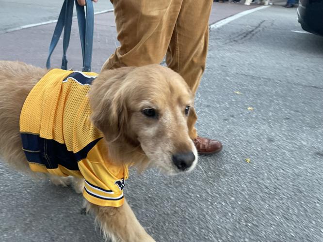 West Virginia University parade fills downtown