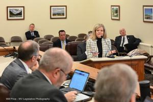 Senate Education Committee begins discussion of Hancock County Schools emergency funding bill