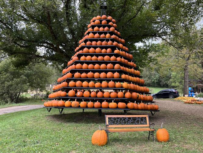 Fall fun awaits in North Central West Virginia Harrison Lifestyles