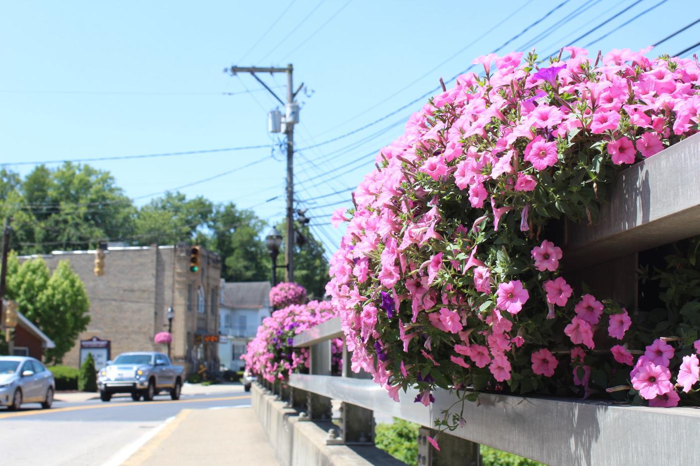 Bridgeport expands effort to beautify downtown with colorful flowers